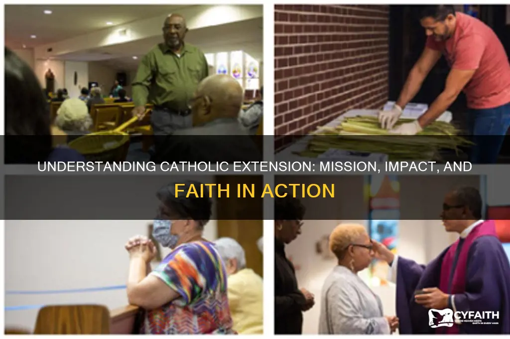 what is catholic extension