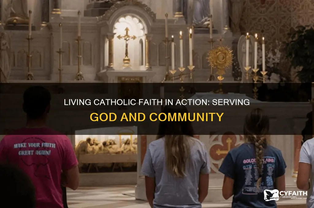 what is catholic faith in action