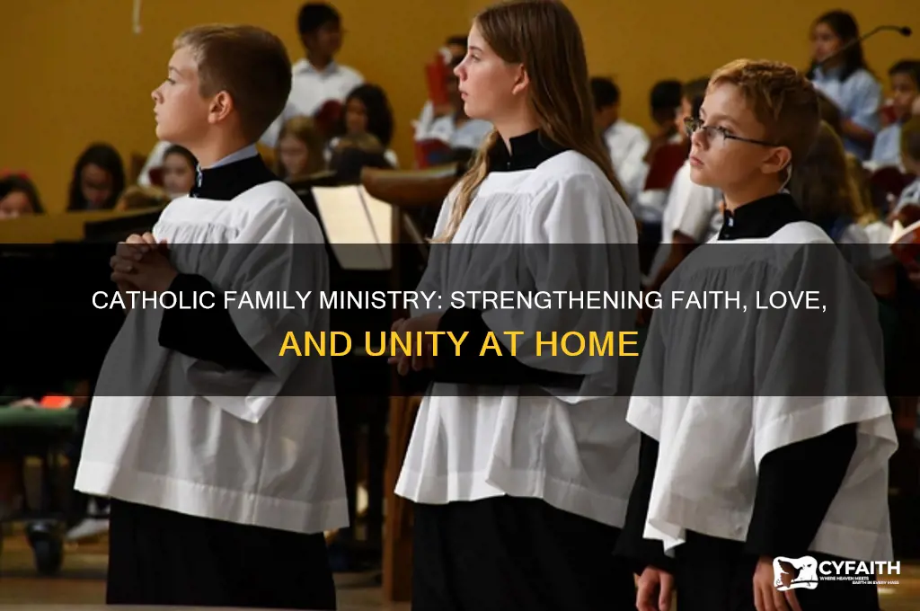 what is catholic family ministry