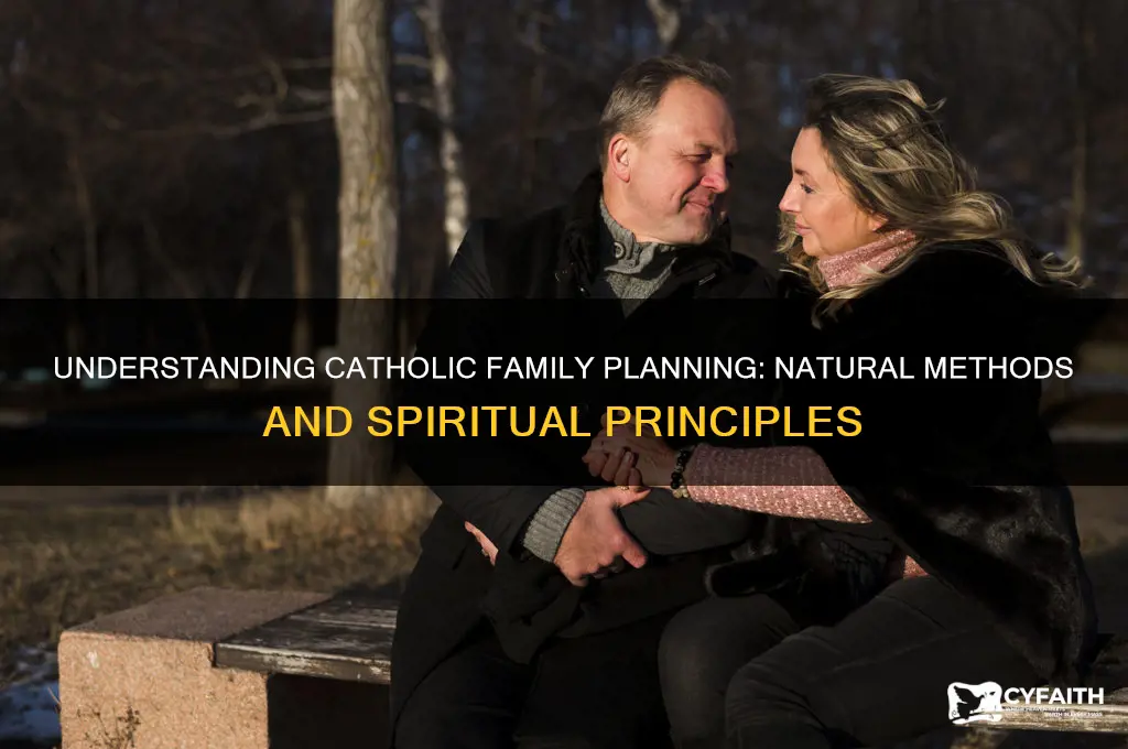 what is catholic family planning