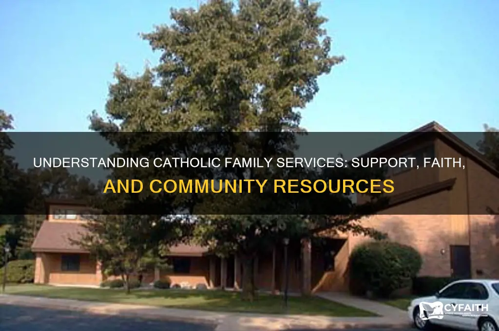 what is catholic family services