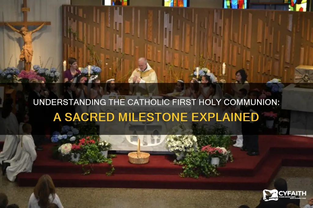what is catholic first holy communion