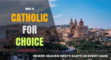Understanding Catholic for Choice: Beliefs, Values, and Reproductive Rights