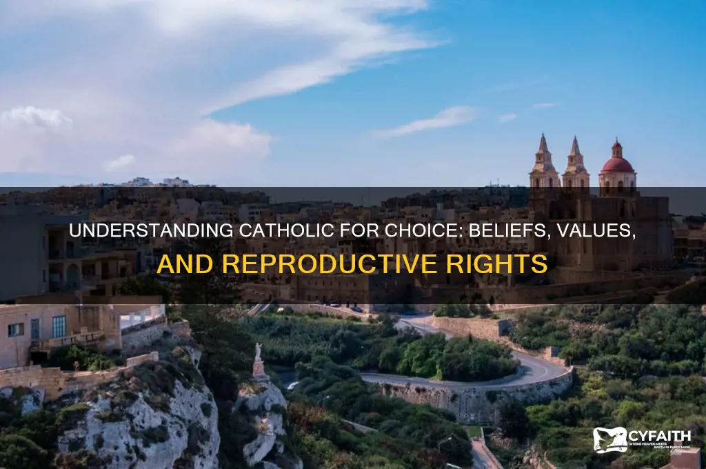 what is catholic for choice