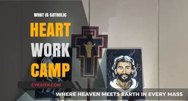 Discover Catholic Heart Work Camp: Faith, Service, and Community in Action