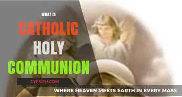 Understanding Catholic Holy Communion: Sacred Ritual, Faith, and Grace Explained