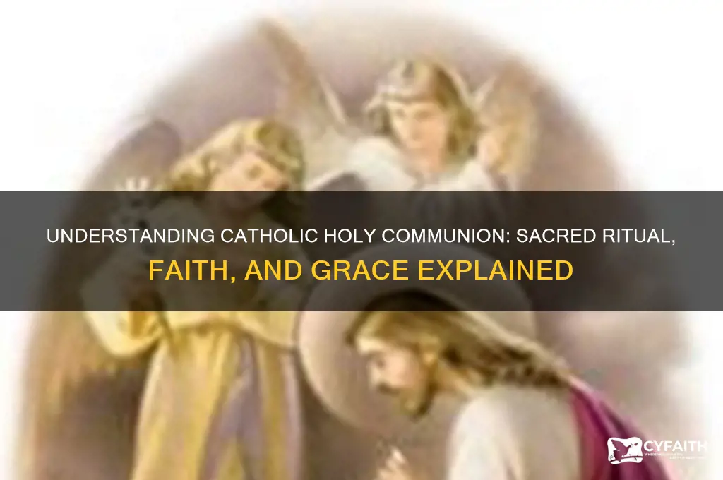 what is catholic holy communion
