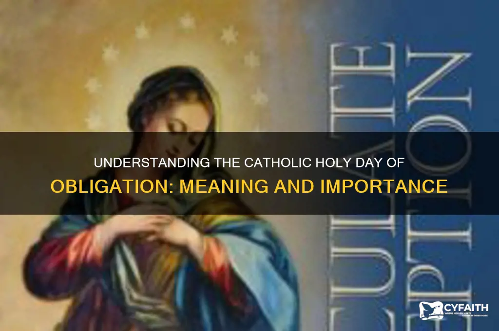 what is catholic holy day of obligation