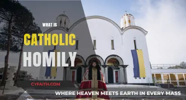 Understanding the Catholic Homily: Purpose, Structure, and Spiritual Significance