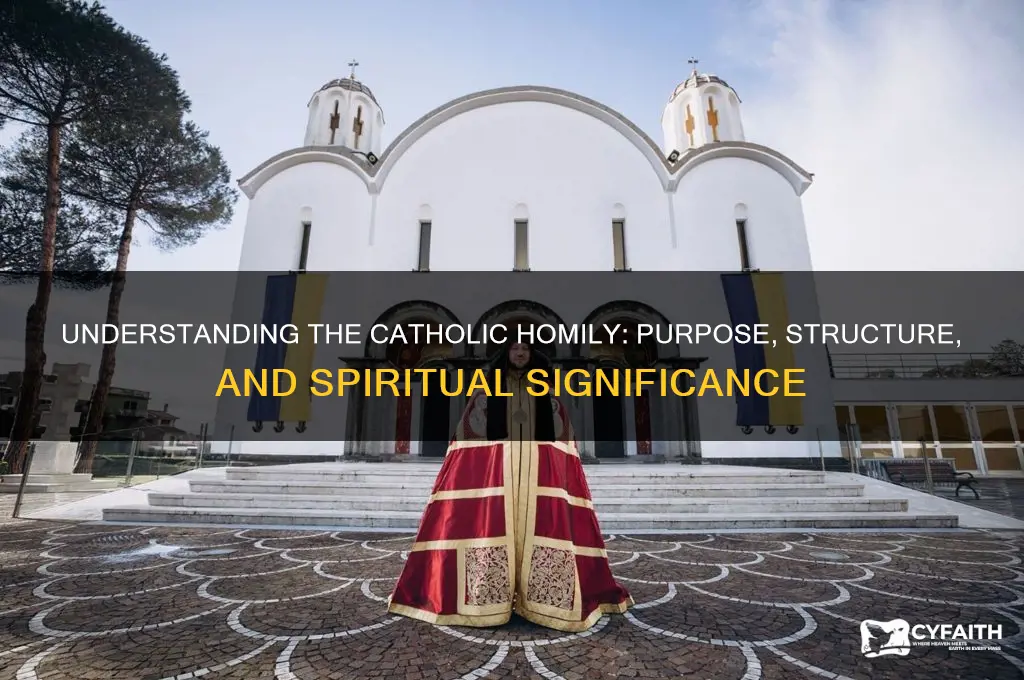 what is catholic homily