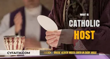 Understanding the Catholic Host: Its Meaning, Significance, and Role in Mass