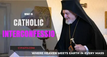 Understanding Catholic Interconfessional Dialogue: Unity, Diversity, and Faith Explained