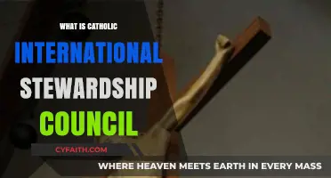 Understanding the Catholic International Stewardship Council's Mission and Impact