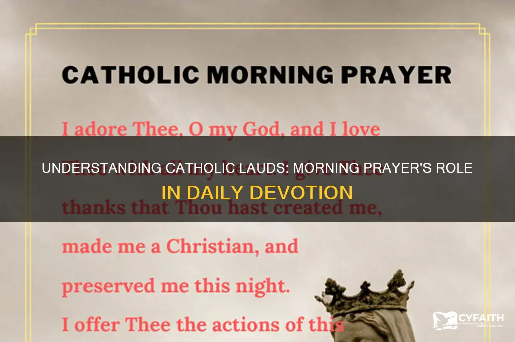 what is catholic lauds