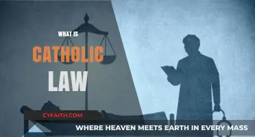 Understanding Catholic Law: Principles, Practices, and Canonical Foundations