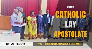 Understanding the Catholic Lay Apostolate: Mission, Role, and Impact