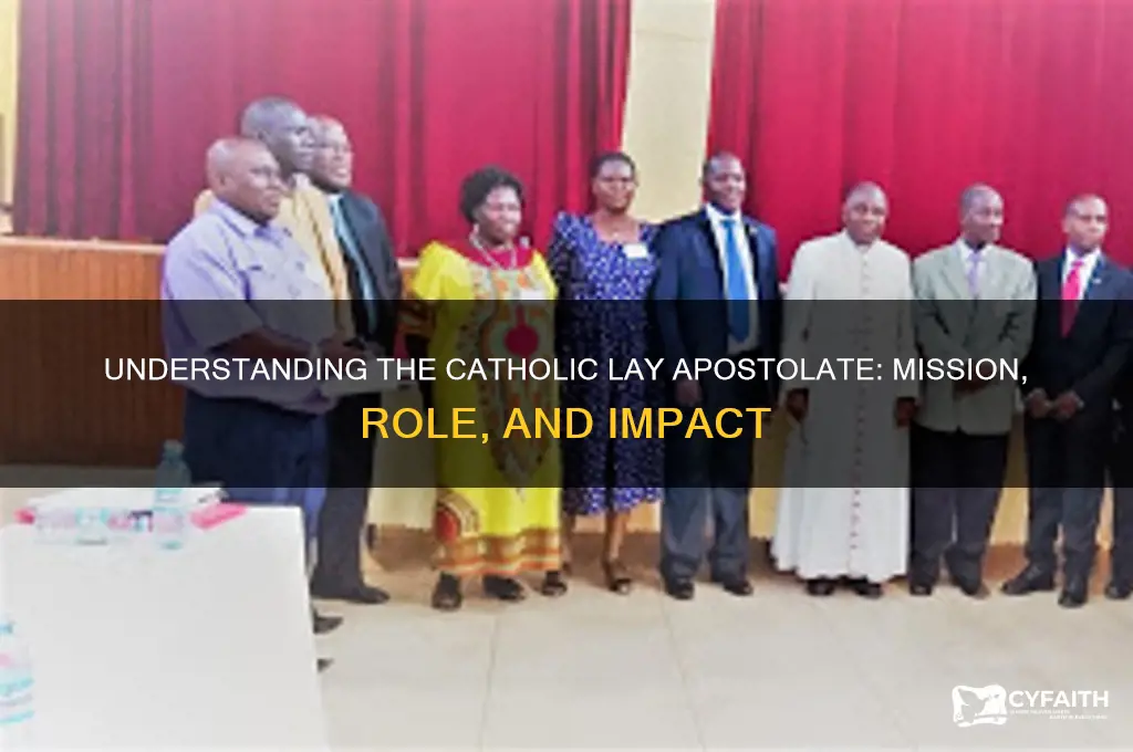 what is catholic lay apostolate