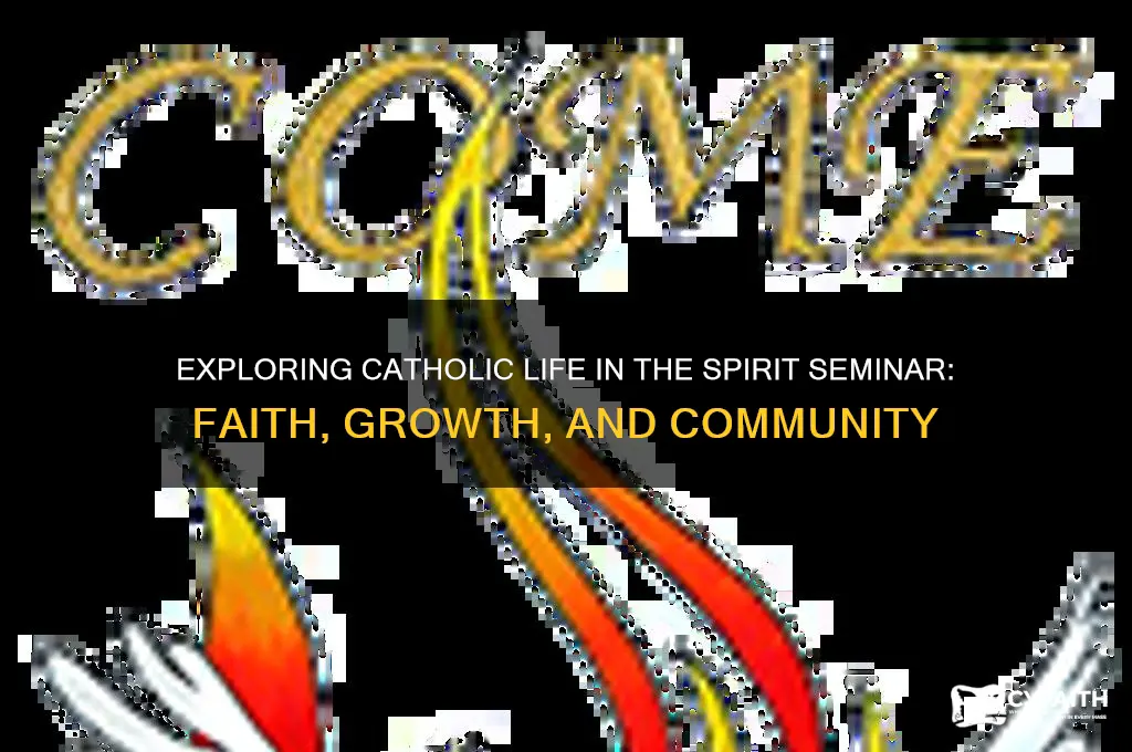 what is catholic life in the spirit seminar