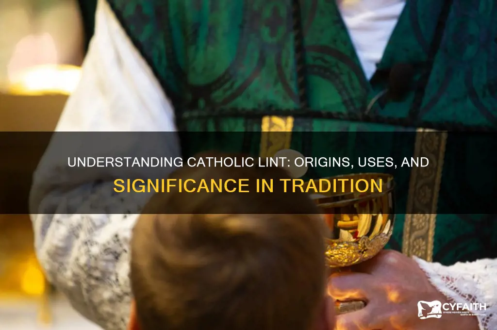 what is catholic lint