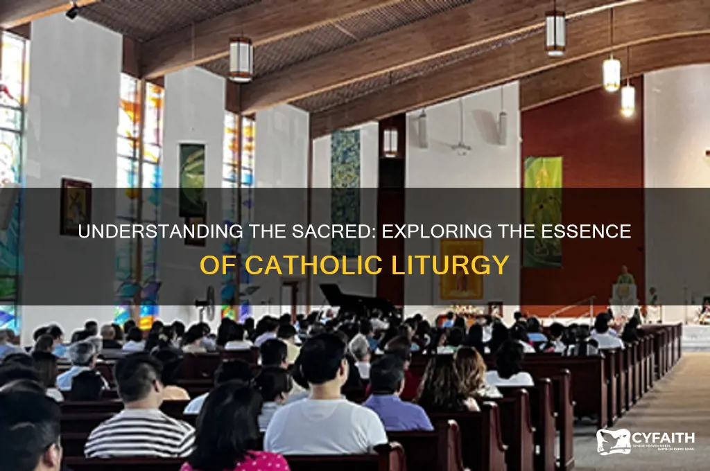 what is catholic liturgy