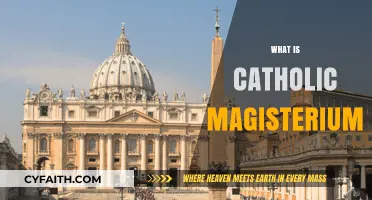 Understanding the Catholic Magisterium: Authority, Tradition, and Faith Explained