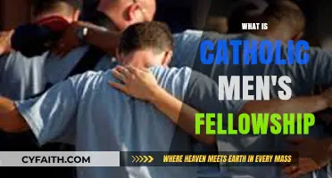Catholic Men's Fellowship: Strengthening Faith, Brotherhood, and Spiritual Growth
