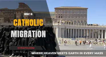 Understanding Catholic Migration: Faith, Movement, and Global Community