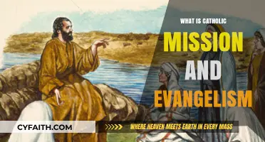 Understanding Catholic Mission and Evangelism: Purpose, Practice, and Impact