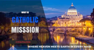 Understanding the Catholic Mission: Purpose, Practices, and Global Impact