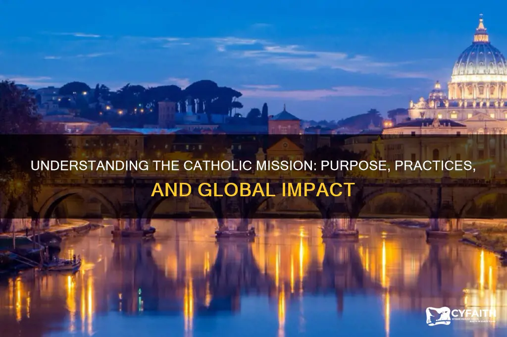 what is catholic misssion