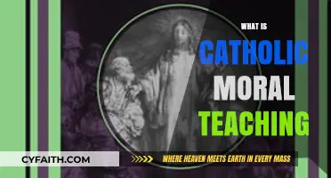 Understanding Catholic Moral Teaching: Principles, Values, and Ethical Guidance