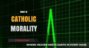 Understanding Catholic Morality: Principles, Teachings, and Ethical Foundations