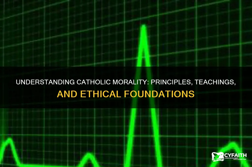 what is catholic morality