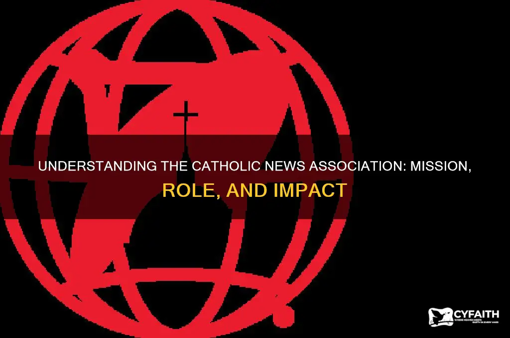 what is catholic news association