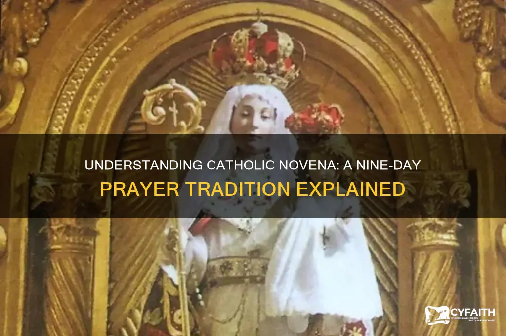 what is catholic novena
