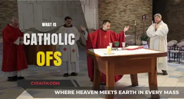 Understanding Catholic OFS: A Guide to the Secular Franciscan Order