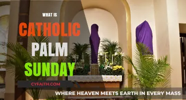 Understanding Catholic Palm Sunday: Traditions, Significance, and Observance Explained