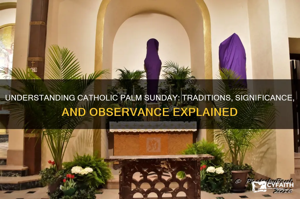 what is catholic palm sunday