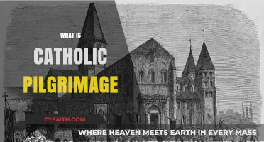 Exploring the Sacred Journey: Understanding Catholic Pilgrimage Traditions
