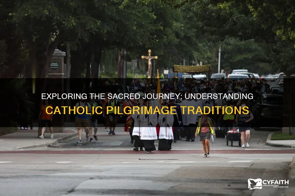 what is catholic pilgrimage