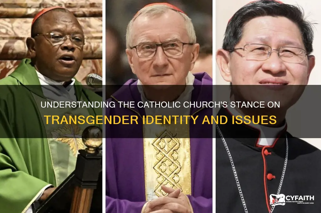what is catholic position on transgender