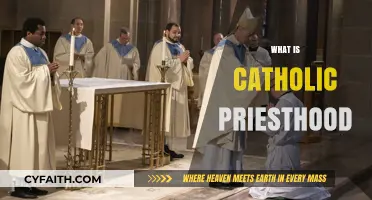 Understanding the Sacred Role of Catholic Priesthood: A Comprehensive Guide