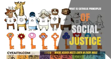 Understanding Catholic Principles of Social Justice: Faith, Action, and Equity
