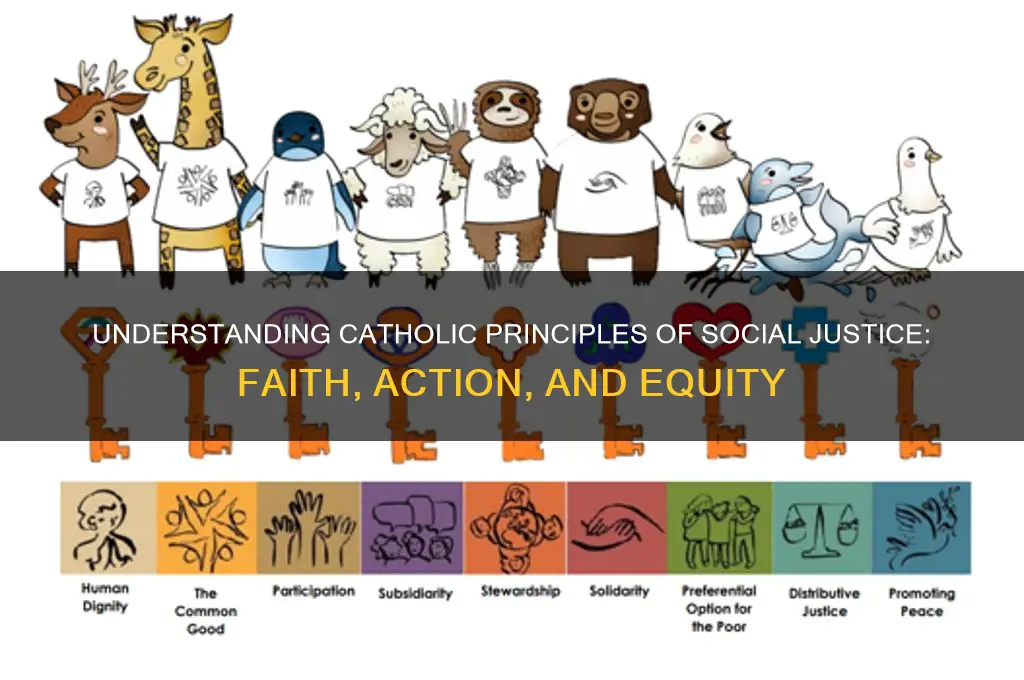 what is catholic principles of social justice