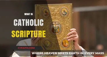 Understanding Catholic Scripture: Sacred Texts and Their Role in Faith