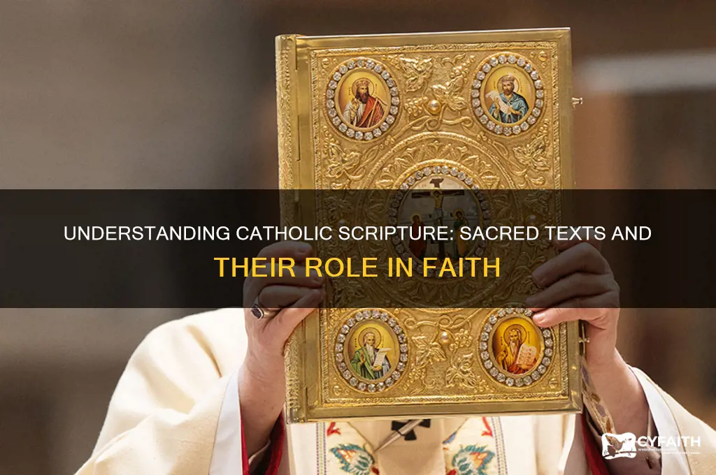 what is catholic scripture