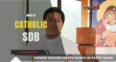 Understanding Catholic SDB: Origins, Mission, and Impact Explained