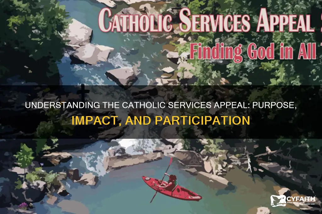 what is catholic services appeal