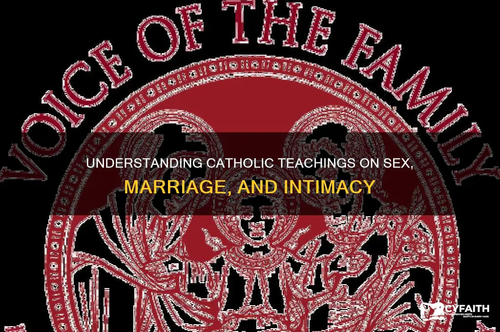 what is catholic sex