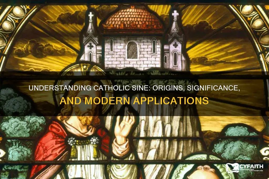 what is catholic sine